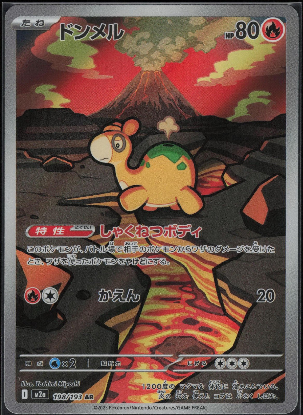 Numel 198/193 holo Art Rare MEGA Dream ex Pokemon Japanese Near Mint