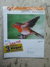 3 x "Vögel", Sammel- Musterkar…