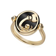Zodiac Black Onyx Reversible Aquarius Ring in 18ct Gold Plated Silver