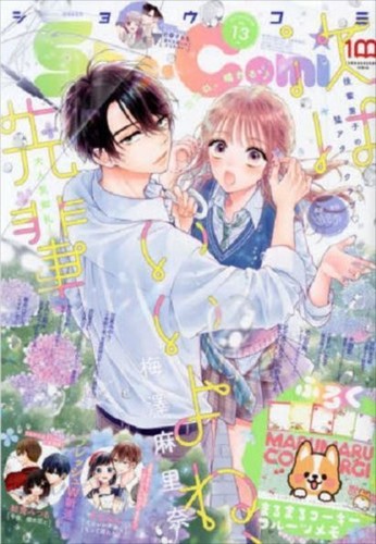 Sho Comi June 22 No 13 Comic Magazine Japanese Book Ebay