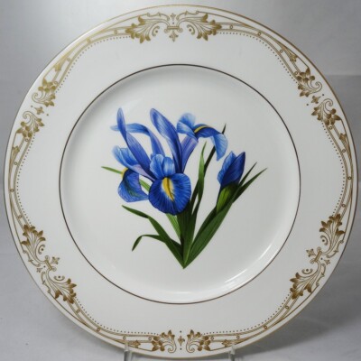 CHELSEA GOLD IRIS by Aynsley Dinner Plate NEW NEVER USED made England