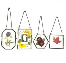 Double Glass Frame for Pressed Flowers,Black Flower Press Picture Frame for L...