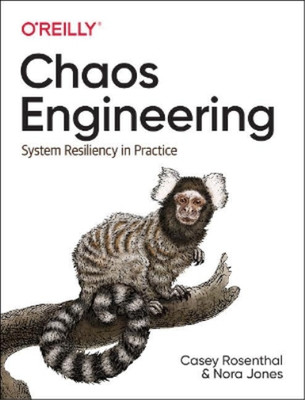 Nora Jones Casey Rosenthal Chaos Engineering (Paperback)