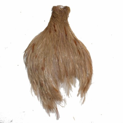 Toutes les plumes pour le montage des mouches artificielles