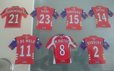 Lot magnets just foot 2009 Lille LOSC maillot ligue 1