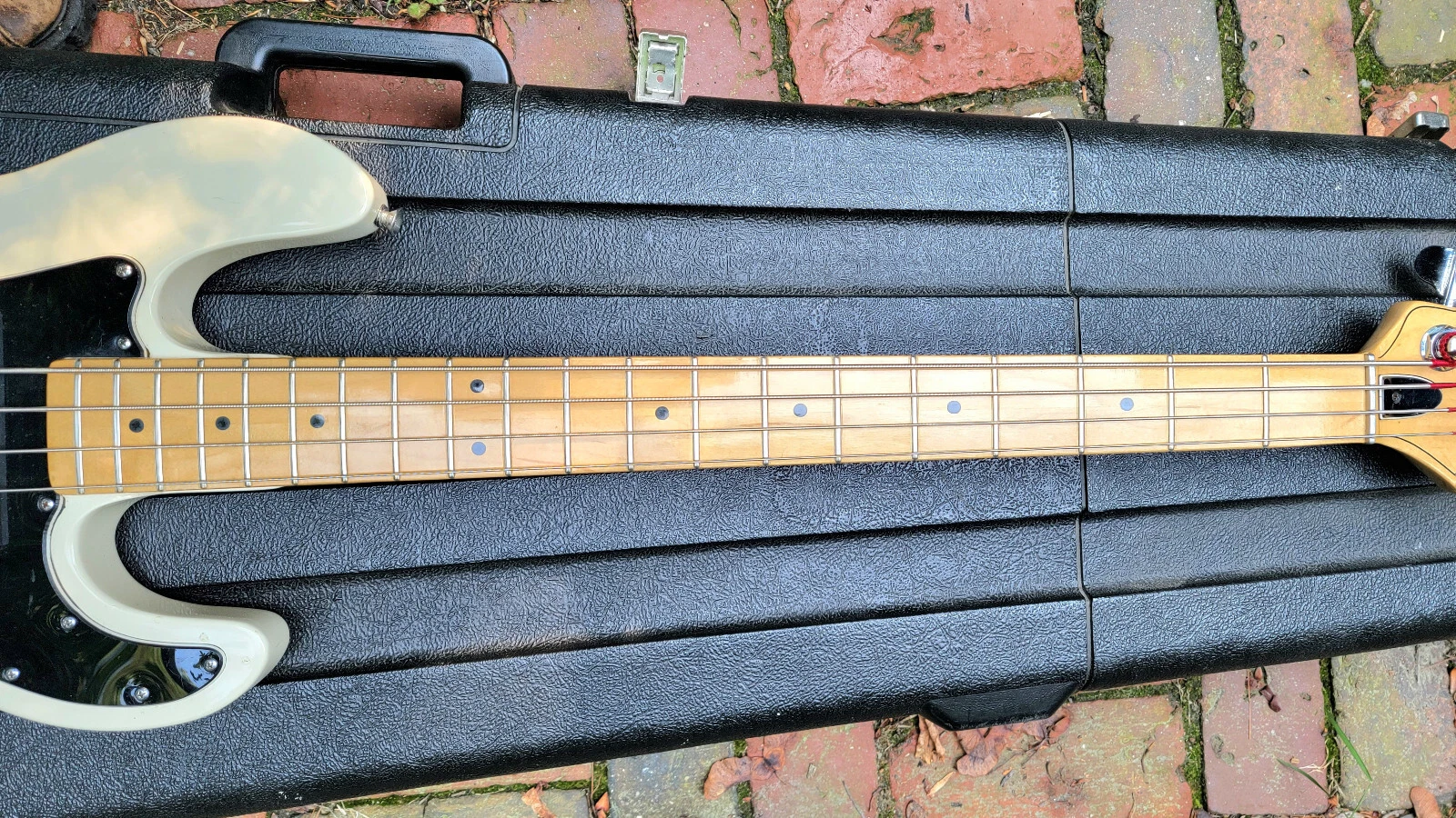 Picture 5 of 18