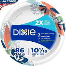 Durable Disposable Paper Plates 10 Inch Compostable Microwave Safe 86 Count New