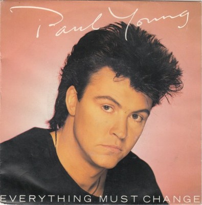 Paul Young - Everything Must Change Vinyl Stereo 45 RPM 7'' Single Rock 41152