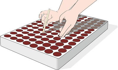 Seminiere In Polistirolo 24 Fori - Vassoi Per Semina Orto E Fiori, Leggeri E Pratici - Foto 8