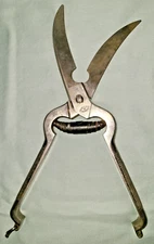 Vtg Ed. Wusthof Trident stainless poultry shears / scissors, Solingen Germany