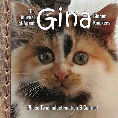 The Journal of Agent Gina Ginger Knickers, Phase Two | Indoctrination & Control
