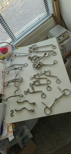 Lot Of Horse Tack- Bits. Stainless Steel.  14 Items 