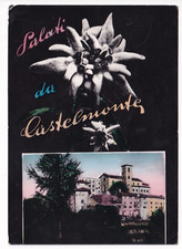 P01421 - CARTOLINA CASTELMONTE - SANTUARIO - CIVIDALE - FIORI - g/vg