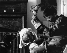 DAVID BRADLEY PRINTS AND POSTERS 104638