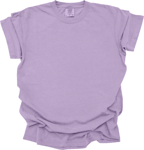 Blank Comfort Colors 1717 Women’s T-Shirt (Multiple Colors) - Picture 55 of 124