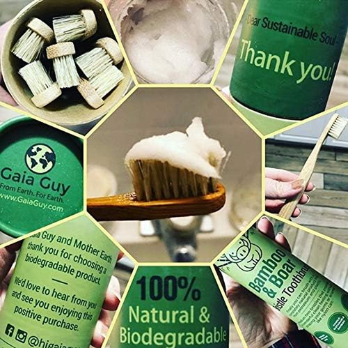 Gaia Guy Natural Bristle Bamboo Toothbrush - Totally Biodegradable and Planet... - Picture 6 of 12