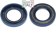 (2) DP200 7174-856-R Delphi Diesel Injection Pump Drive Seals