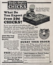 1925 AD.(XH44)~KERLIN?S GRAND VIEW POULTRY FARM, CENTER HALL, PA. LEGHORN CHICKS