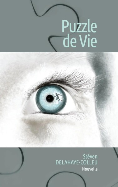 Puzzle De Vie StéVen Delahaye-Colleu Taschenbuch FranzöSisch 2024-image