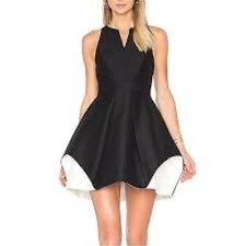 Halston Heritage Dress - Size 10 Sculptural Fit & Flare Dress  Black & Cream