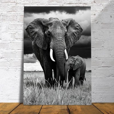 Elefantenporträt in Schwarzweiß Tiere Wandbild, Acrylglas, Leinwand oder Poster