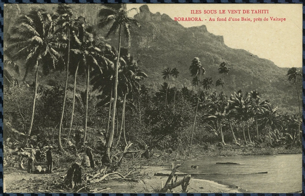 CPSM Tahiti - Superbe Paysage Tahitien - Années 1960 - Document Historique