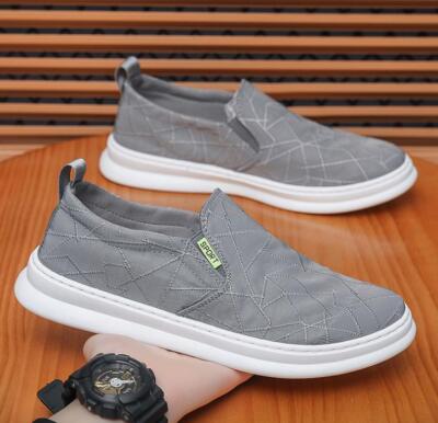 Mens Flat Pull On Canvas Loafer Sneaker Flat Board Shoe Moccasins