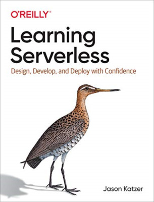 Serverlos lernen: Entwerfen, Entwickeln und Bereitstellen mit C - Taschenbuch / Softback N