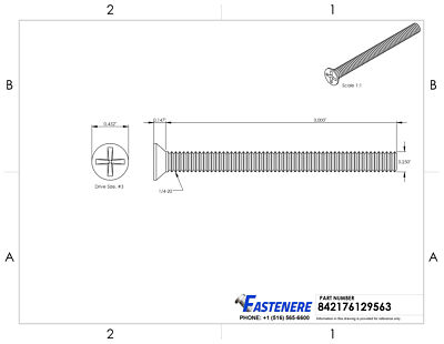 Prime-Line 1/4 In.-20 X 3 In. Grade 18-8 Stainless Steel Phillips Drive - Foto 9