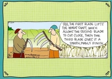 Smooth Finish - Humorous Tree Free Greeting Card - 14000