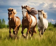 36" X 44" Panel Fall Running Free Horses Stallions Brown Cotton Fabric D368.73