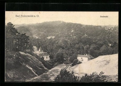Ansichtskarte Bad Freienwalde a. O., Saubucht aus der Vogelschau 1911 