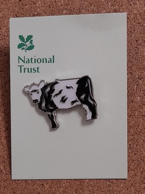 National Trust BRIMHAM ROCKS Gürtel Galloway Charity Pin Anstecker