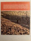 John Deere NEW 3020 - 4020 Standard Tractors brochure (A-1579-63-11 Wat) — photo 3