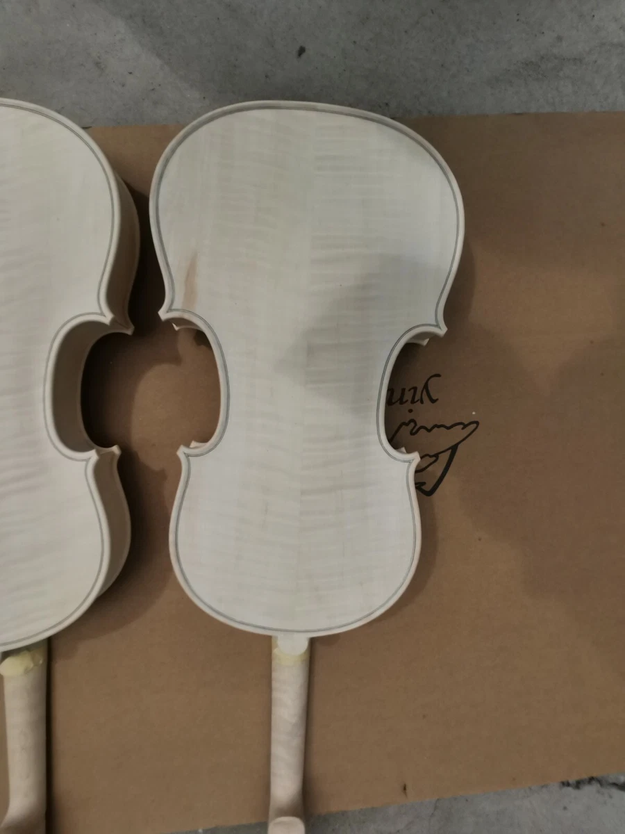 Top 2024 violin makers