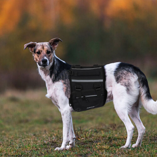 Hundetragetaschen Für Kleine Rucksack Haustierzubehör Reisen - Bild 7 von 18