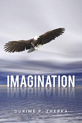 Imagination                                                                    