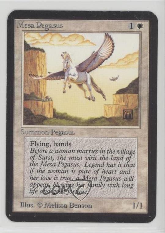Mesa Pegasus Magic: Limited Edition Alpha 1993