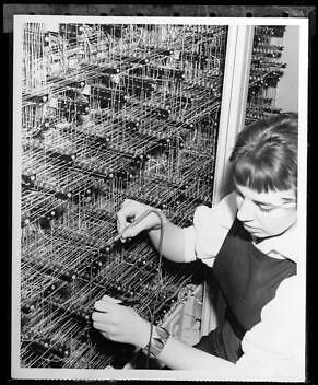 Technician testing a connection in the internal wiring of a Burrou - Old Photo