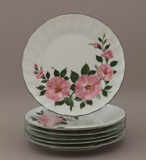 Kuchenteller 19,5cm Winterling  Kirchenlamitz   Wildrose dessert teller