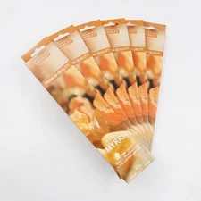 Hosley 120 Pack Incense Sticks + Bonus 120 Pack (Total 240) – Myrrh – Bulk Pack 