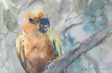 GERRY MILLER. Aquarell-"Papagei".Ohne Rahmen. 30x20cm.