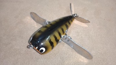 Yamato Crawler Skillful Yamato-ya Black Bone Orange Berry