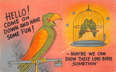 UK AND FOREIGN COMIC POSTCARD PARROTT GOOD GOOD PLUS