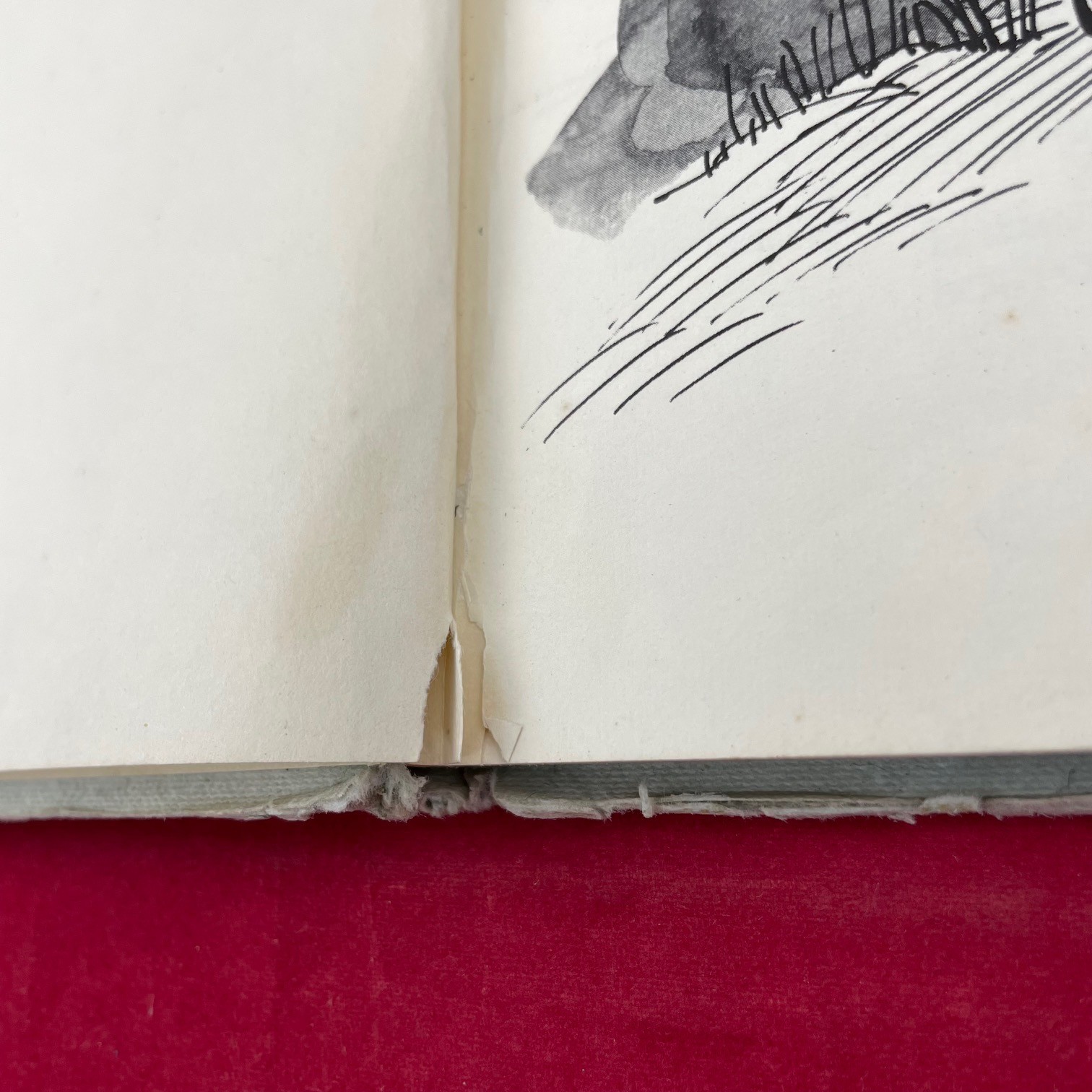 Vintage 1975 The Great McGoniggle's Gray Ghost Hardcover Book - Discard