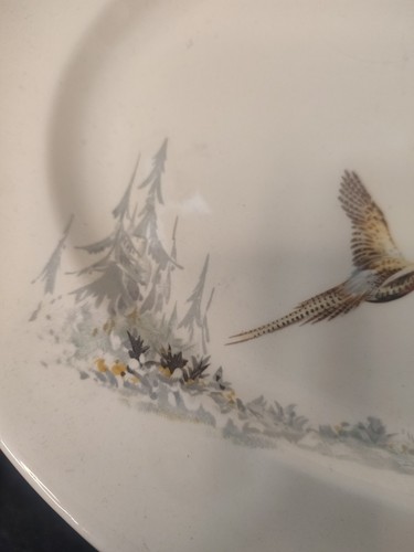 Royal Doulton Coppice Servierplatte Med Oval D5803 England Vintage 1940er Phesant - Bild 5 von 12