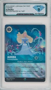 Enchanted Aurora | eBay