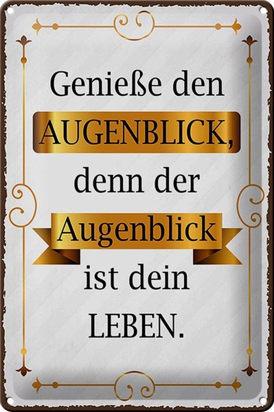 Blechschild Spruch 20X30 Cm GenießE Den Augenblick Denn Deko Schild Tin Sign-image