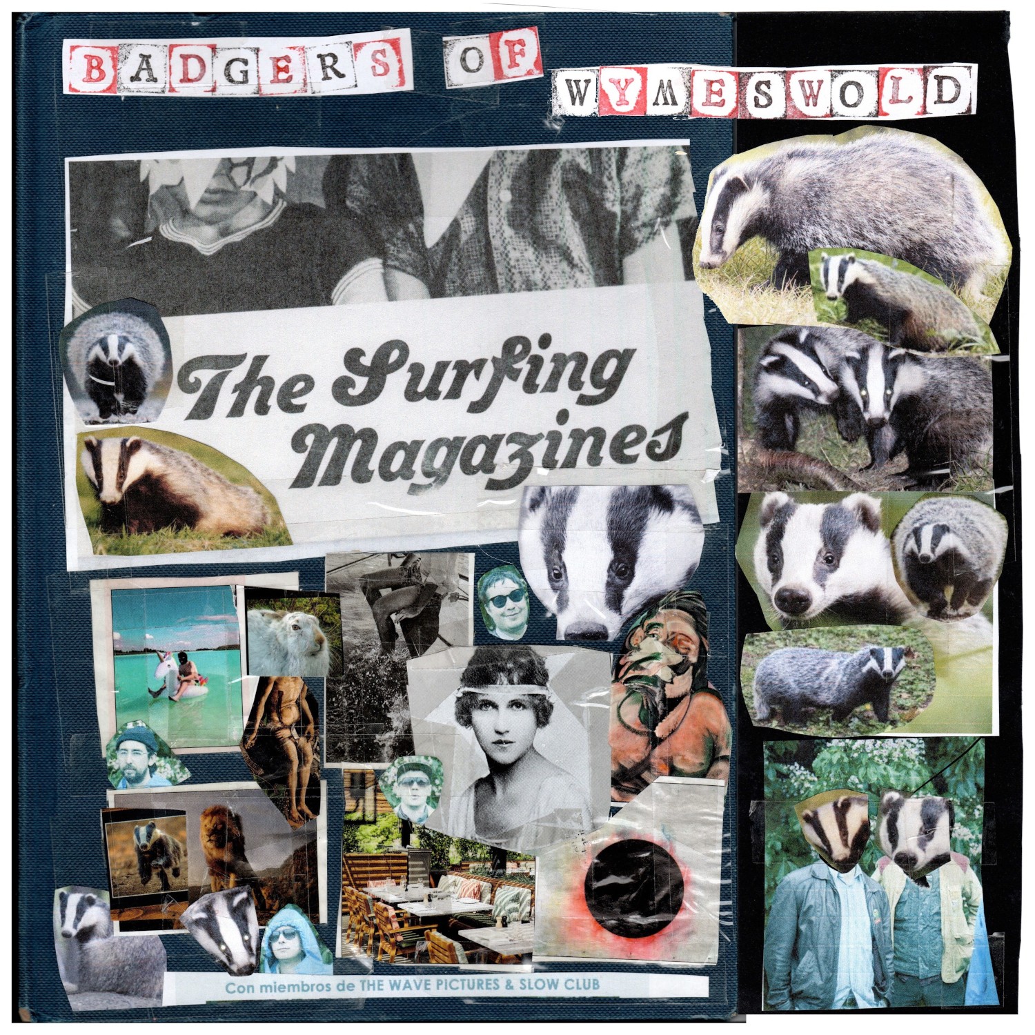 Альбом The Surfing Magazines Badgers of Wymeswold (CD)