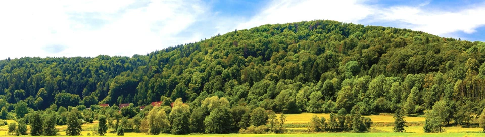 Model Railway Background "Franconian Switzerland" Width 3.33m - 7.50m / Height 0.4-0.9m - Image 3 of 4